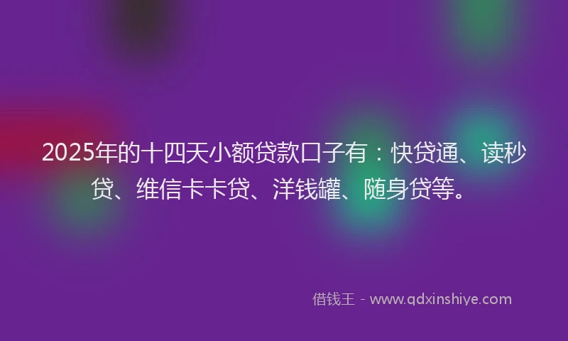 2025年的十四天小额贷款口子有：快贷通、读秒贷、维信卡卡贷、洋钱罐、随身贷等。