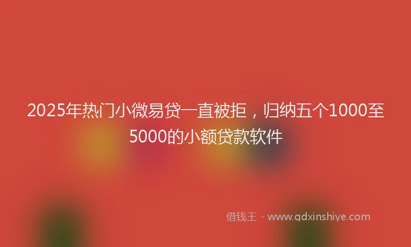 2025年热门小微易贷一直被拒，归纳五个1000至5000的小额贷款软件
