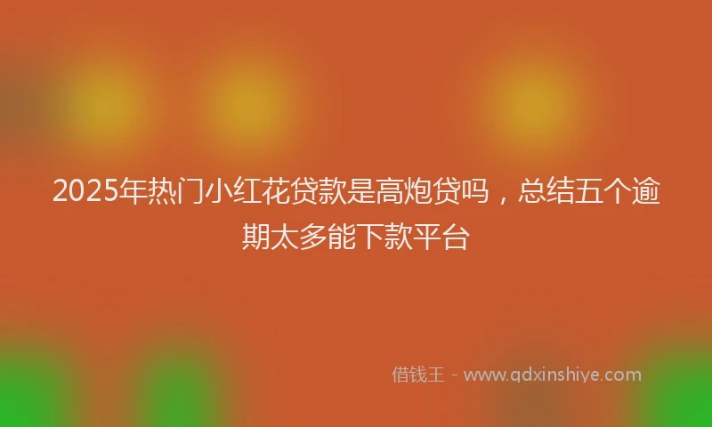 2025年热门小红花贷款是高炮贷吗，总结五个逾期太多能下款平台