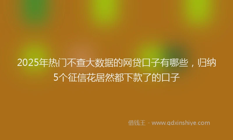 2025年热门不查大数据的网贷口子有哪些，归纳5个征信花居然都下款了的口子