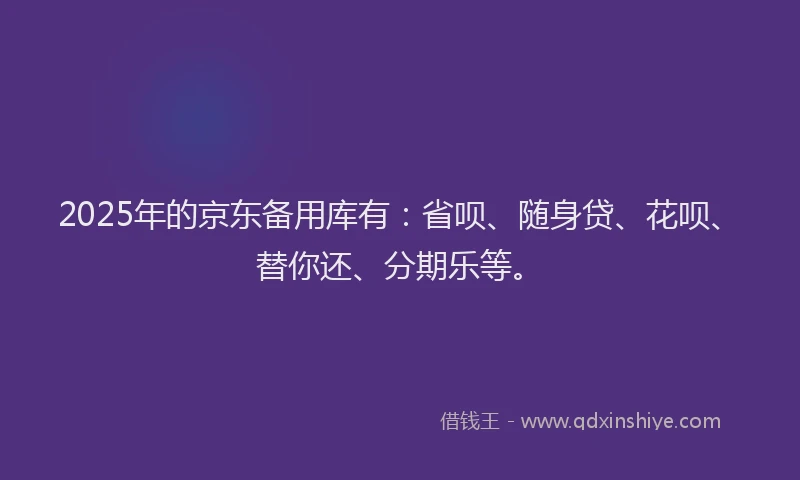 2025年的京东备用库有：省呗、随身贷、花呗、替你还、分期乐等。
