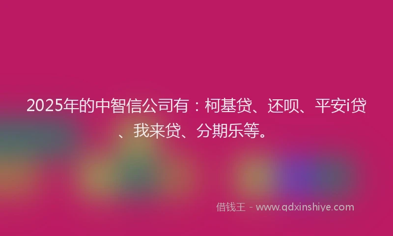 2025年的中智信公司有：柯基贷、还呗、平安i贷、我来贷、分期乐等。