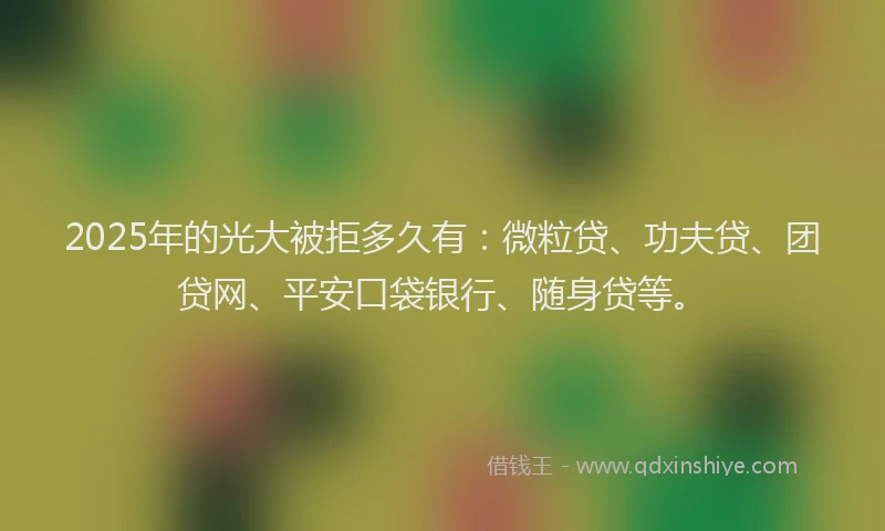 2025年的光大被拒多久有：微粒贷、功夫贷、团贷网、平安口袋银行、随身贷等。