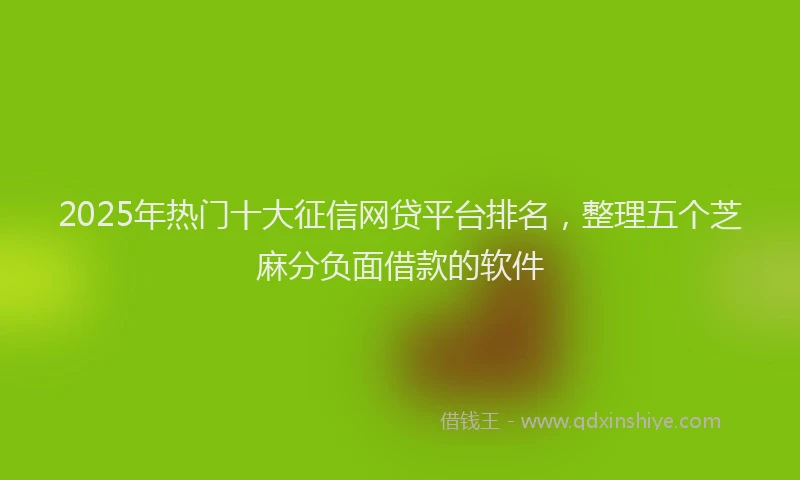 2025年热门十大征信网贷平台排名，整理五个芝麻分负面借款的软件