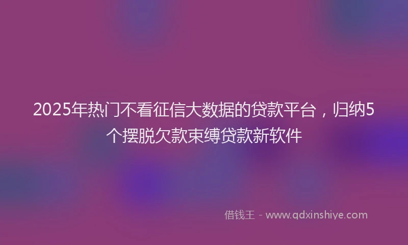 2025年热门不看征信大数据的贷款平台，归纳5个摆脱欠款束缚贷款新软件