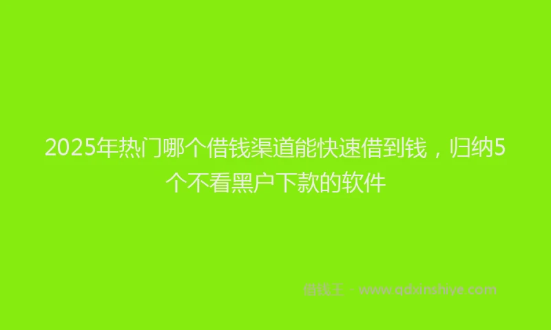 2025年热门哪个借钱渠道能快速借到钱，归纳5个不看黑户下款的软件