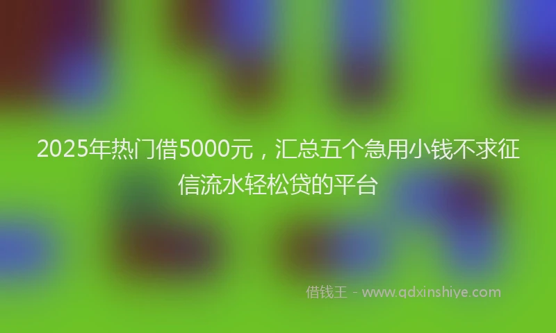 2025年热门借5000元，汇总五个急用小钱不求征信流水轻松贷的平台