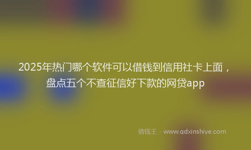 2025年热门哪个软件可以借钱到信用社卡上面，盘点五个不查征信好下款的网贷app
