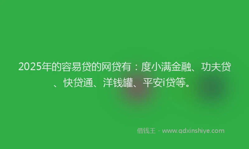 2025年的容易贷的网贷有：度小满金融、功夫贷、快贷通、洋钱罐、平安i贷等。