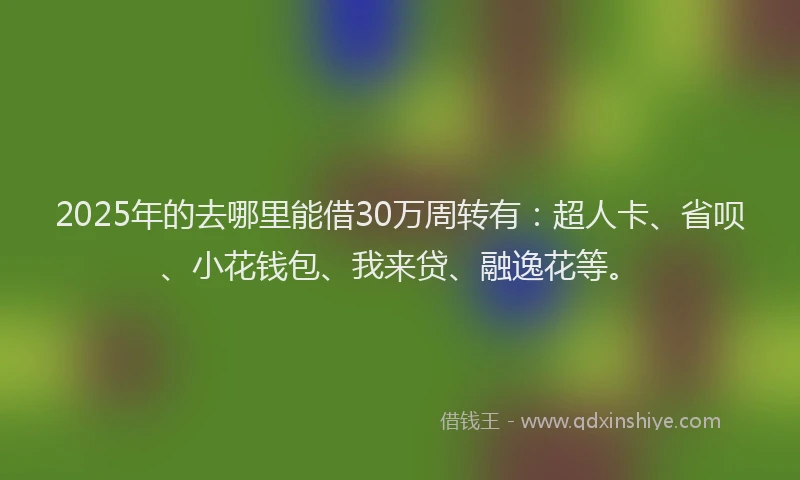 2025年的去哪里能借30万周转有：超人卡、省呗、小花钱包、我来贷、融逸花等。