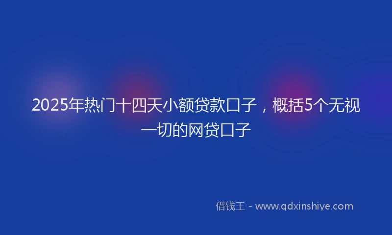 2025年热门十四天小额贷款口子，概括5个无视一切的网贷口子