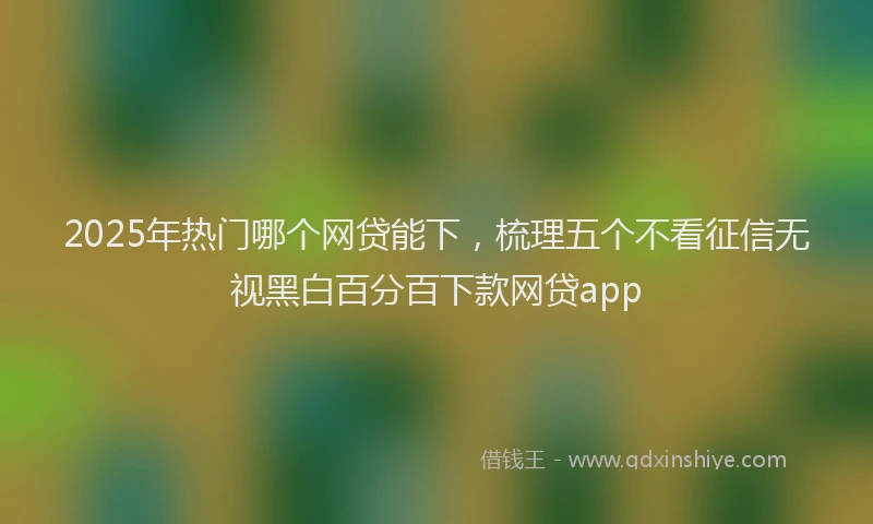 2025年热门哪个网贷能下，梳理五个不看征信无视黑白百分百下款网贷app