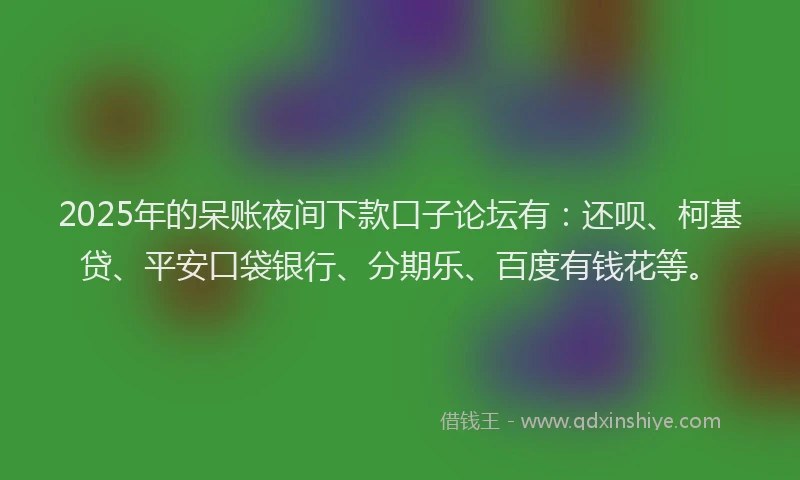2025年的呆账夜间下款口子论坛有：还呗、柯基贷、平安口袋银行、分期乐、百度有钱花等。