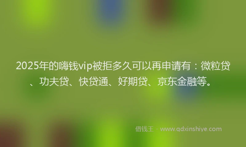 2025年的嗨钱vip被拒多久可以再申请有：微粒贷、功夫贷、快贷通、好期贷、京东金融等。
