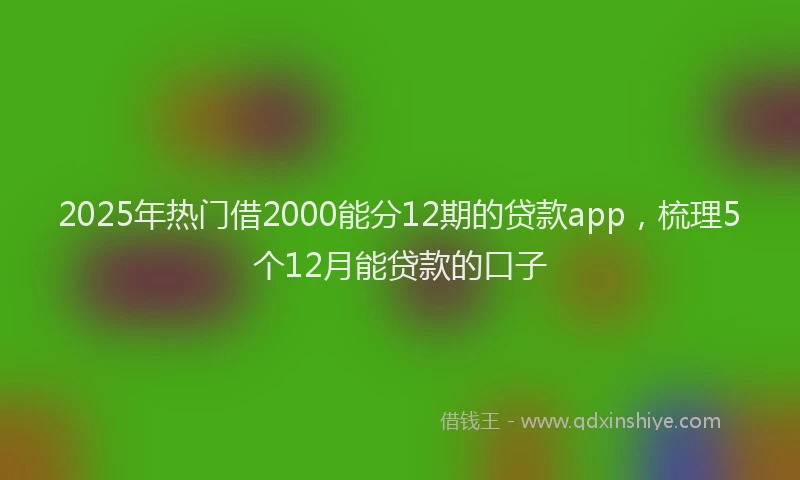 2025年热门借2000能分12期的贷款app，梳理5个12月能贷款的口子