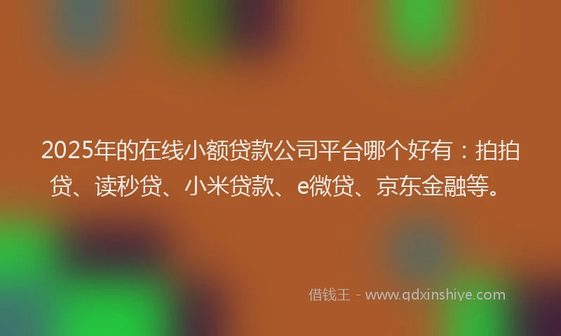 2025年的在线小额贷款公司平台哪个好有：拍拍贷、读秒贷、小米贷款、e微贷、京东金融等。
