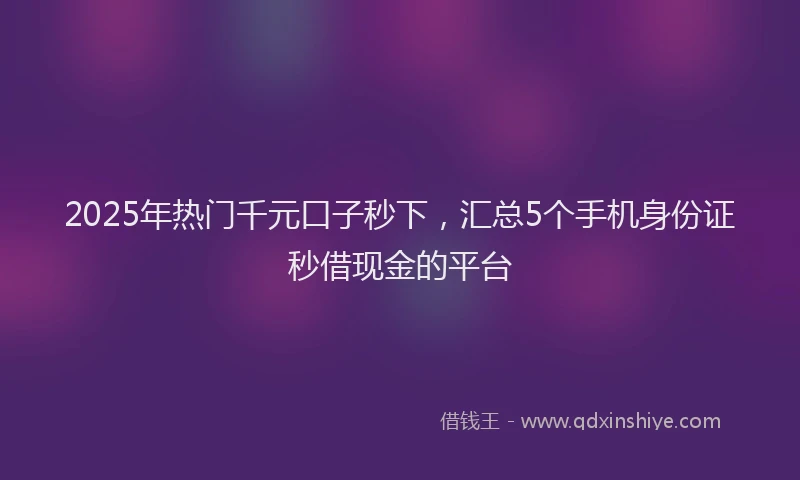 2025年热门千元口子秒下，汇总5个手机身份证秒借现金的平台
