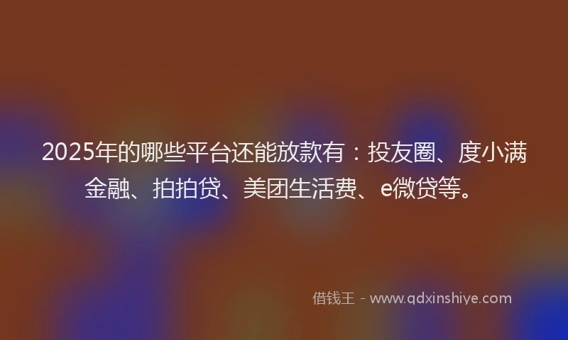 2025年的哪些平台还能放款有：投友圈、度小满金融、拍拍贷、美团生活费、e微贷等。