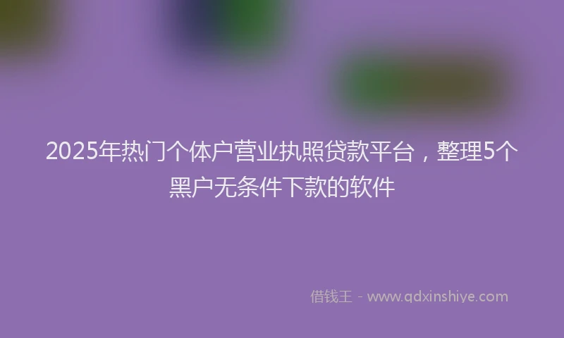2025年热门个体户营业执照贷款平台，整理5个黑户无条件下款的软件