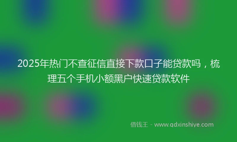 2025年热门不查征信直接下款口子能贷款吗，梳理五个手机小额黑户快速贷款软件