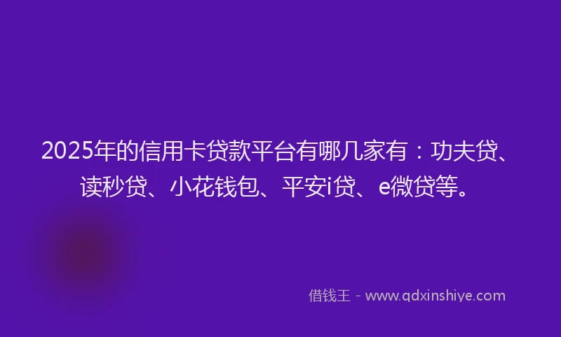 2025年的信用卡贷款平台有哪几家有：功夫贷、读秒贷、小花钱包、平安i贷、e微贷等。
