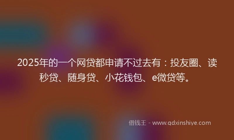 2025年的一个网贷都申请不过去有：投友圈、读秒贷、随身贷、小花钱包、e微贷等。