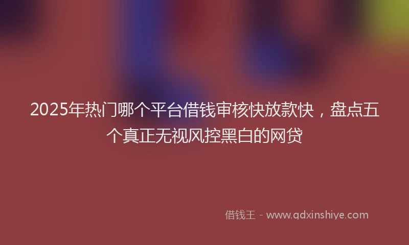 2025年热门哪个平台借钱审核快放款快，盘点五个真正无视风控黑白的网贷