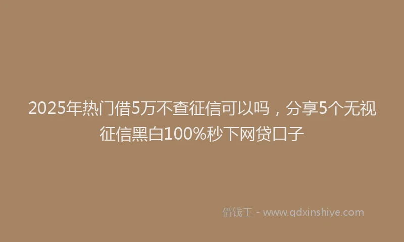 2025年热门借5万不查征信可以吗，分享5个无视征信黑白100%秒下网贷口子