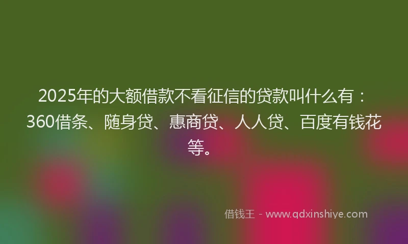 2025年的大额借款不看征信的贷款叫什么有：360借条、随身贷、惠商贷、人人贷、百度有钱花等。