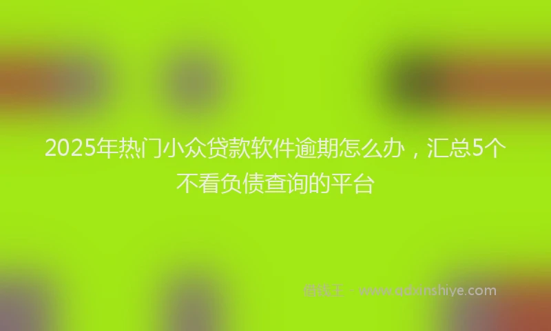 2025年热门小众贷款软件逾期怎么办，汇总5个不看负债查询的平台