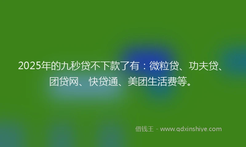 2025年的九秒贷不下款了有：微粒贷、功夫贷、团贷网、快贷通、美团生活费等。
