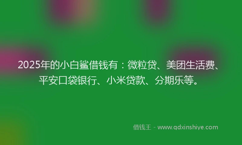 2025年的小白鲨借钱有：微粒贷、美团生活费、平安口袋银行、小米贷款、分期乐等。