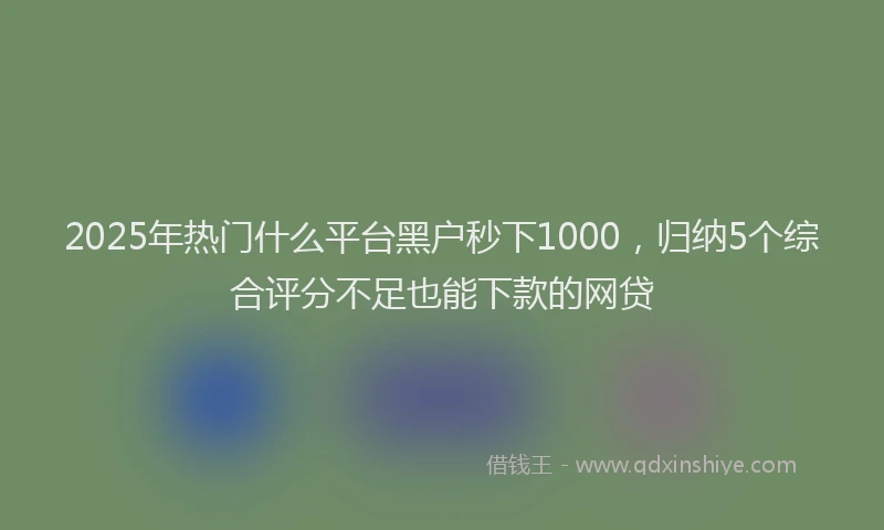 2025年热门什么平台黑户秒下1000，归纳5个综合评分不足也能下款的网贷