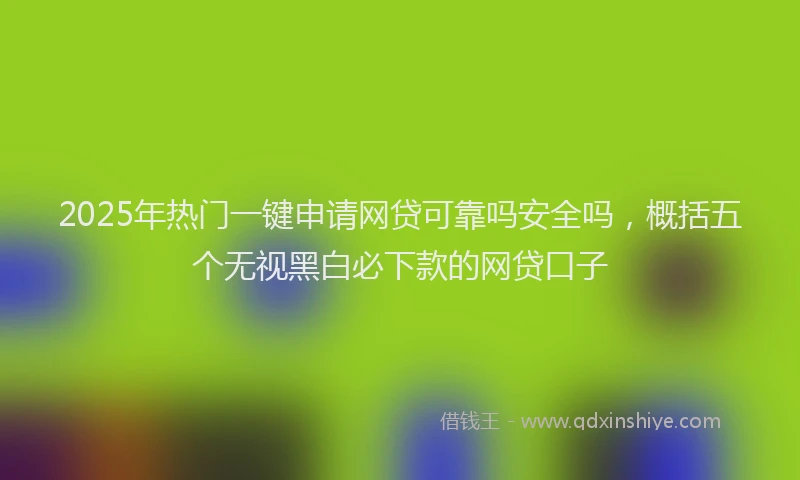 2025年热门一键申请网贷可靠吗安全吗，概括五个无视黑白必下款的网贷口子