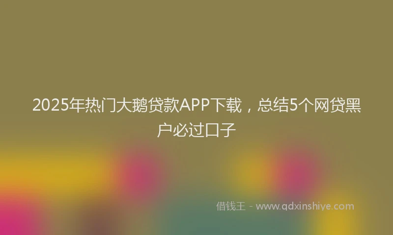 2025年热门大鹅贷款APP下载，总结5个网贷黑户必过口子