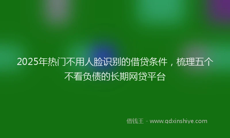 2025年热门不用人脸识别的借贷条件，梳理五个不看负债的长期网贷平台