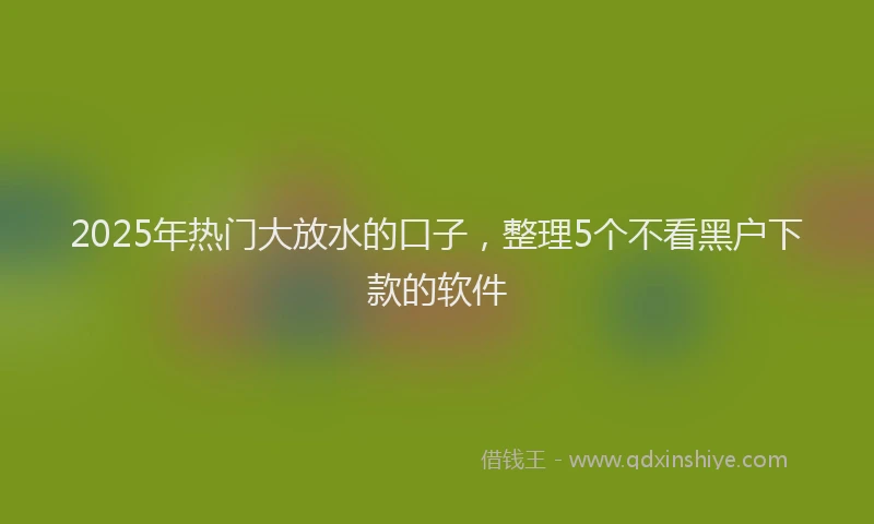 2025年热门大放水的口子，整理5个不看黑户下款的软件