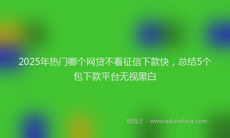 2025年热门哪个网贷不看征信下款快，总结5个包下款平台无视黑白