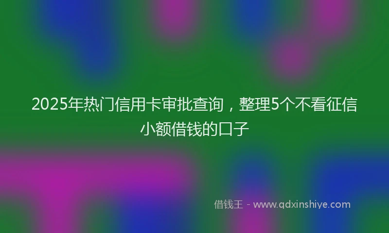 2025年热门信用卡审批查询，整理5个不看征信小额借钱的口子