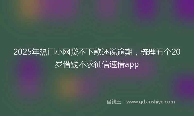 2025年热门小网贷不下款还说逾期，梳理五个20岁借钱不求征信速借app