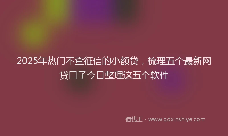2025年热门不查征信的小额贷，梳理五个最新网贷口子今日整理这五个软件