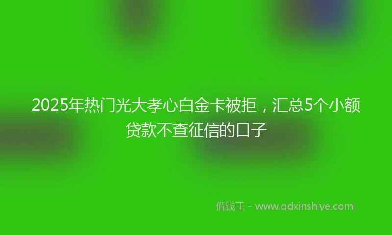 2025年热门光大孝心白金卡被拒，汇总5个小额贷款不查征信的口子