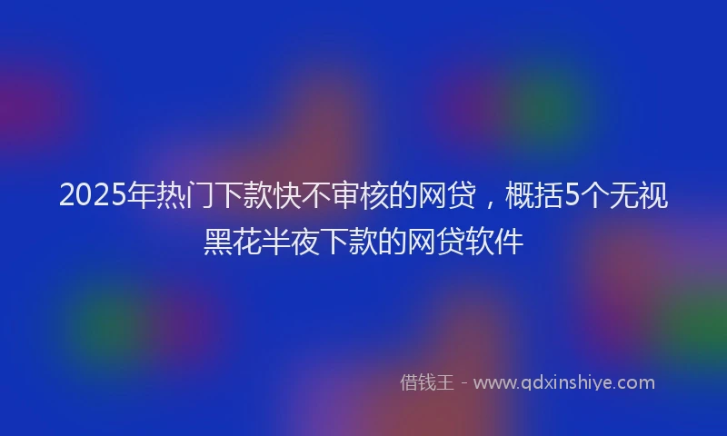 2025年热门下款快不审核的网贷，概括5个无视黑花半夜下款的网贷软件