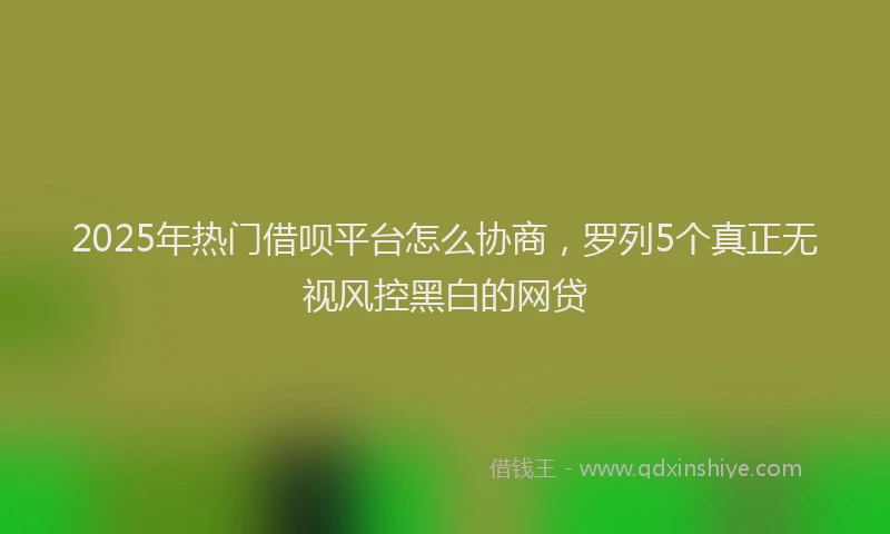 2025年热门借呗平台怎么协商，罗列5个真正无视风控黑白的网贷