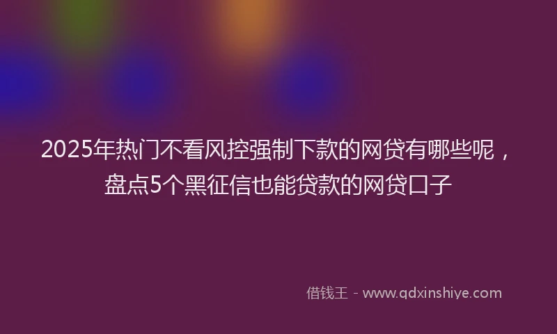 2025年热门不看风控强制下款的网贷有哪些呢，盘点5个黑征信也能贷款的网贷口子