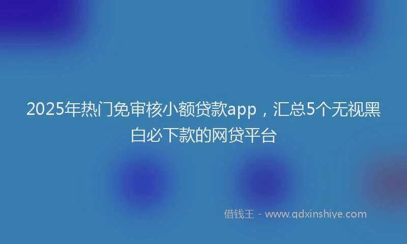 2025年热门免审核小额贷款app，汇总5个无视黑白必下款的网贷平台