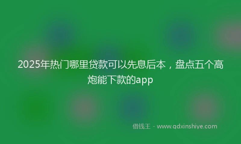 2025年热门哪里贷款可以先息后本，盘点五个高炮能下款的app