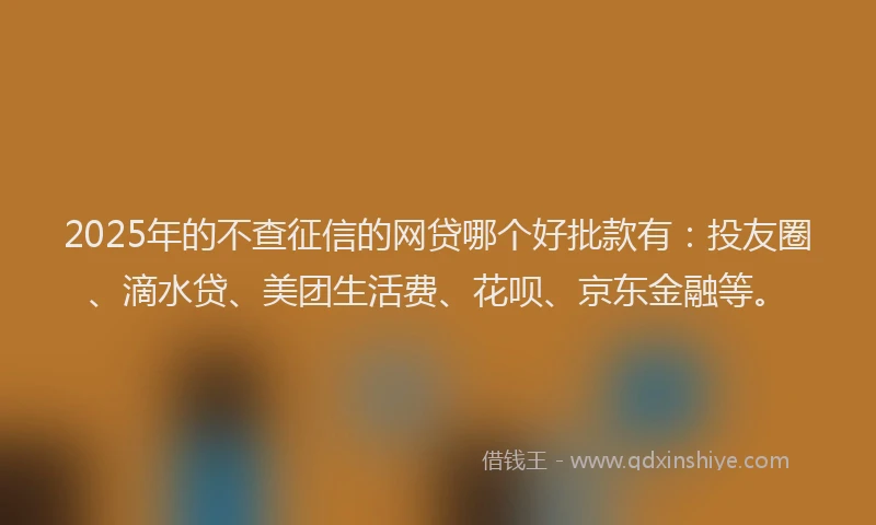 2025年的不查征信的网贷哪个好批款有：投友圈、滴水贷、美团生活费、花呗、京东金融等。