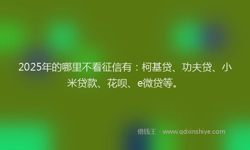 2025年的哪里不看征信有：柯基贷、功夫贷、小米贷款、花呗、e微贷等。