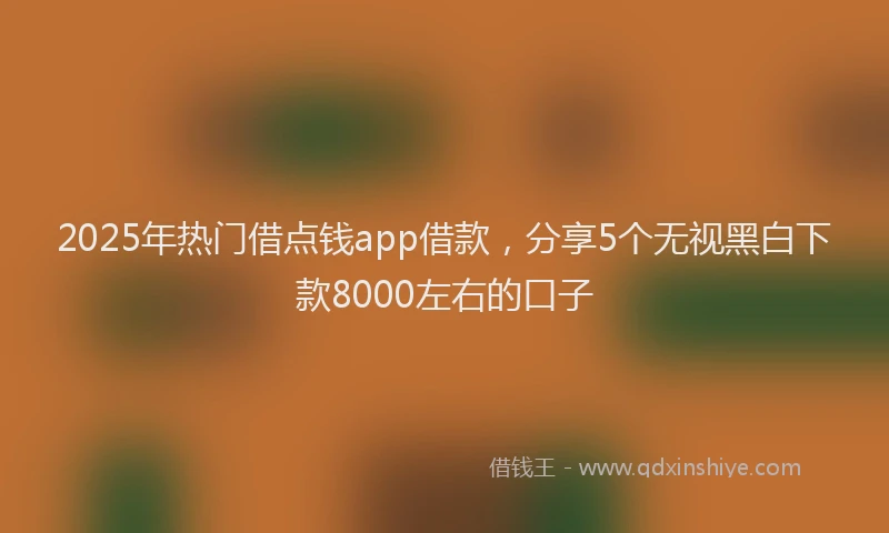 2025年热门借点钱app借款，分享5个无视黑白下款8000左右的口子